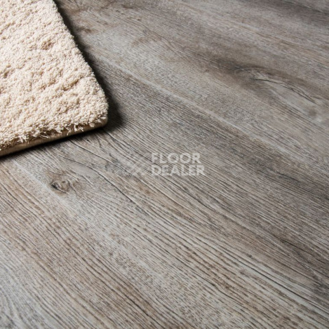IVC Divino (Click, тиснение в регистр) IVC Divino 53967N фото 4 | FLOORDEALER